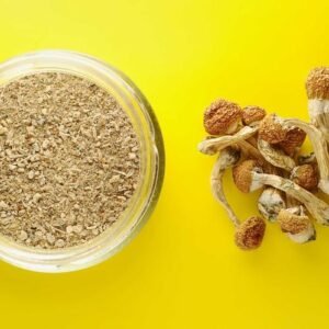Microdosing Mushroom