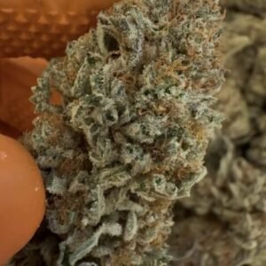 Cookies (Strong Indica) | High-THC Strain  3.5G