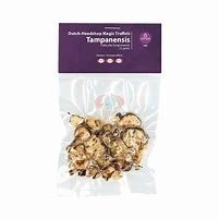 Tampanensis Magic Truffles (28 GRAMS)
