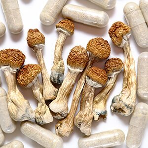 PSYCHEDELICS