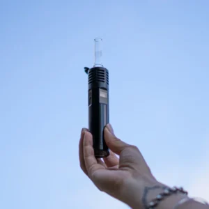 10/10boyz THC Vapes