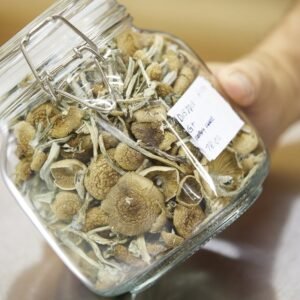 Magic Truffles